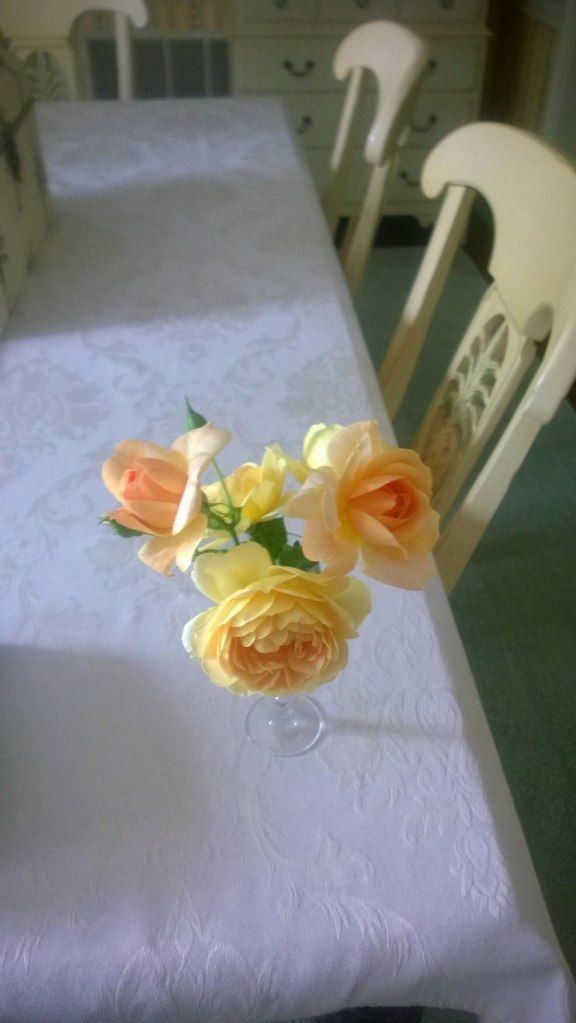 photo 10295502_10152171123847285_7034261235711275891_o.jpg